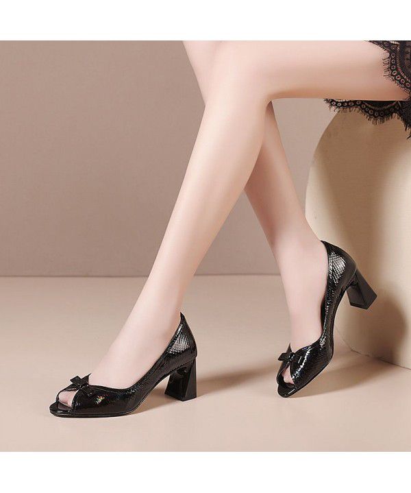 Spring New Thick Heel Fish Mouth Single Shoes for Women's Large Round Toe Black Fashion High Heel Cool Shoes